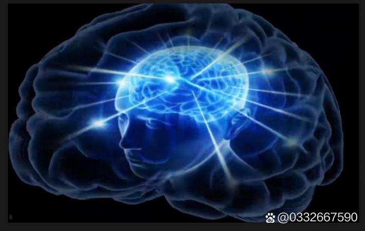 吃瓜吧 - 新晋小花官宣加盟S+古装剧，粉丝直呼梦回白鹿